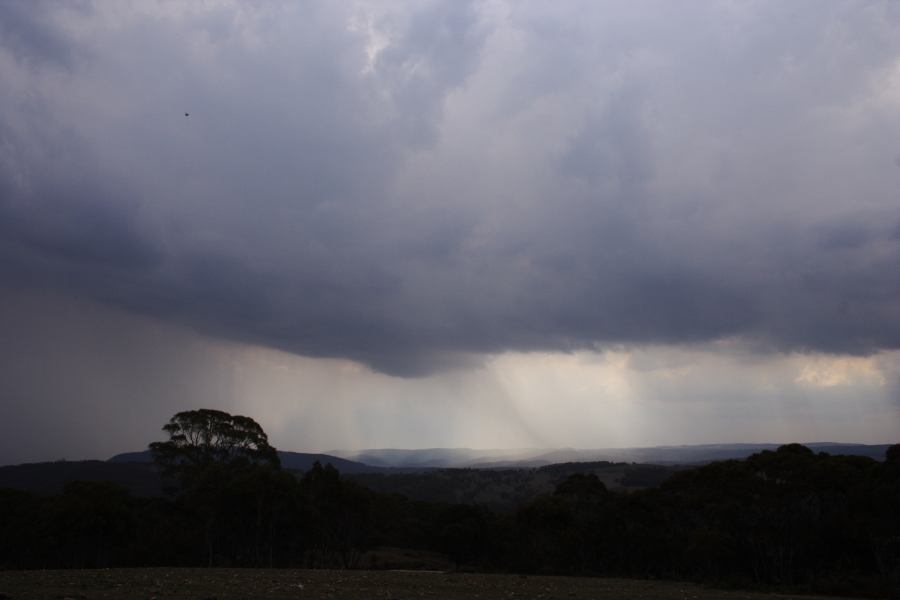 cumulonimbus thunderstorm_base : Mt Lambie, NSW   18 January 2007