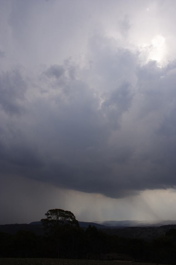 raincascade precipitation_cascade : Mt Lambie, NSW   18 January 2007