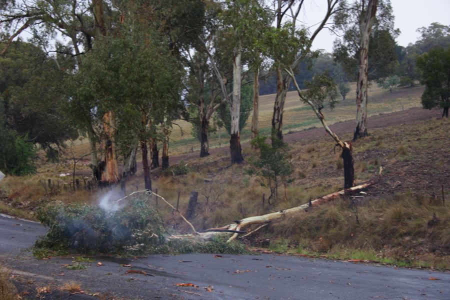 disasters storm_damage : Sunny Corner, NSW   18 January 2007