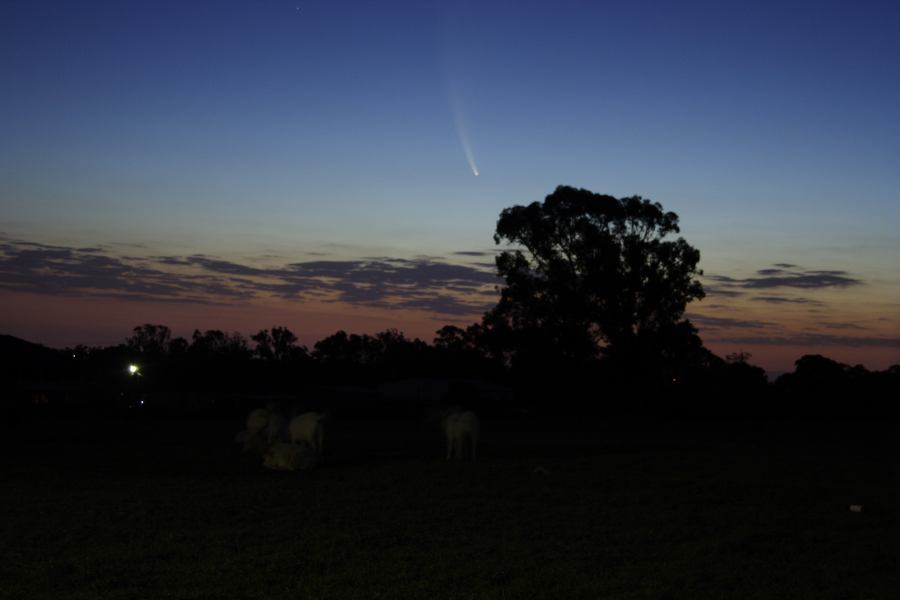 sunset sunset_pictures : Comet McNaught from Schofields   20 January 2007