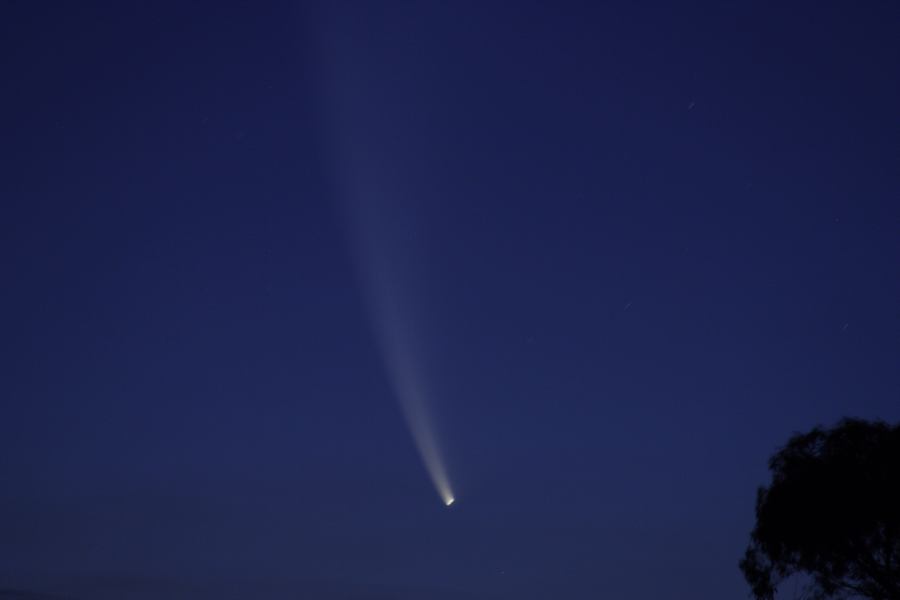 sunset sunset_pictures : Comet McNaught from Schofields   20 January 2007