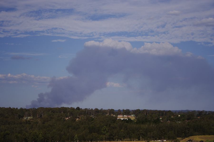 bushfire wild_fire : Schofields, NSW   21 January 2007