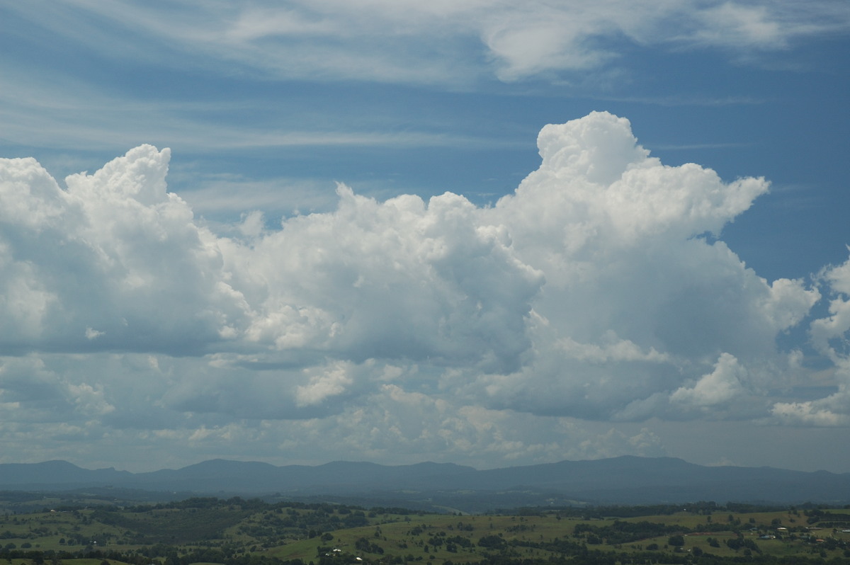 cumulus congestus : McLeans Ridges, NSW   22 January 2007