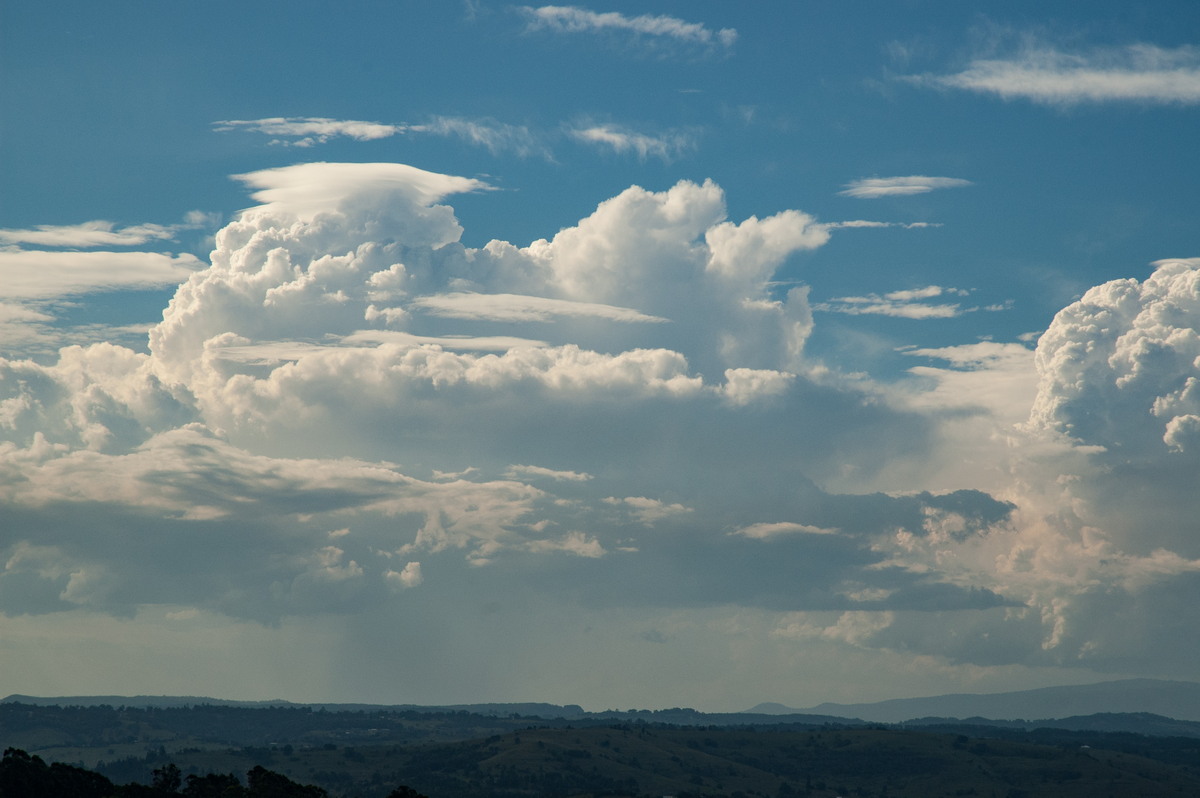 thunderstorm cumulonimbus_calvus : McLeans Ridges, NSW   22 January 2007