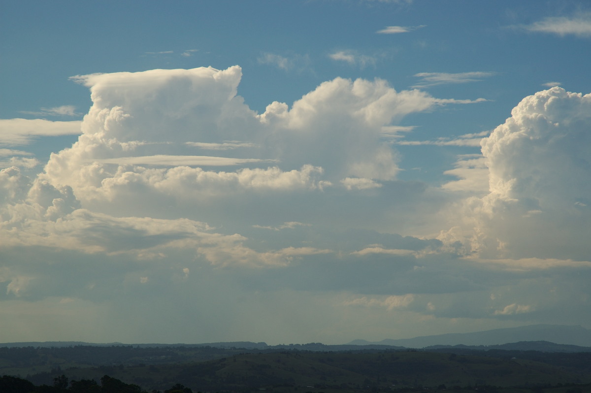 thunderstorm cumulonimbus_calvus : McLeans Ridges, NSW   22 January 2007