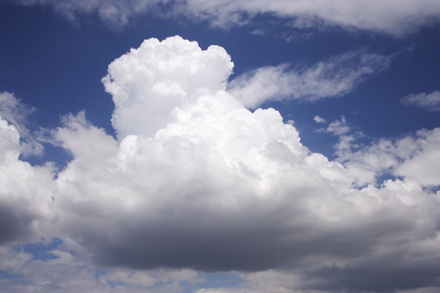 cumulus congestus : Lithgow, NSW   23 January 2007