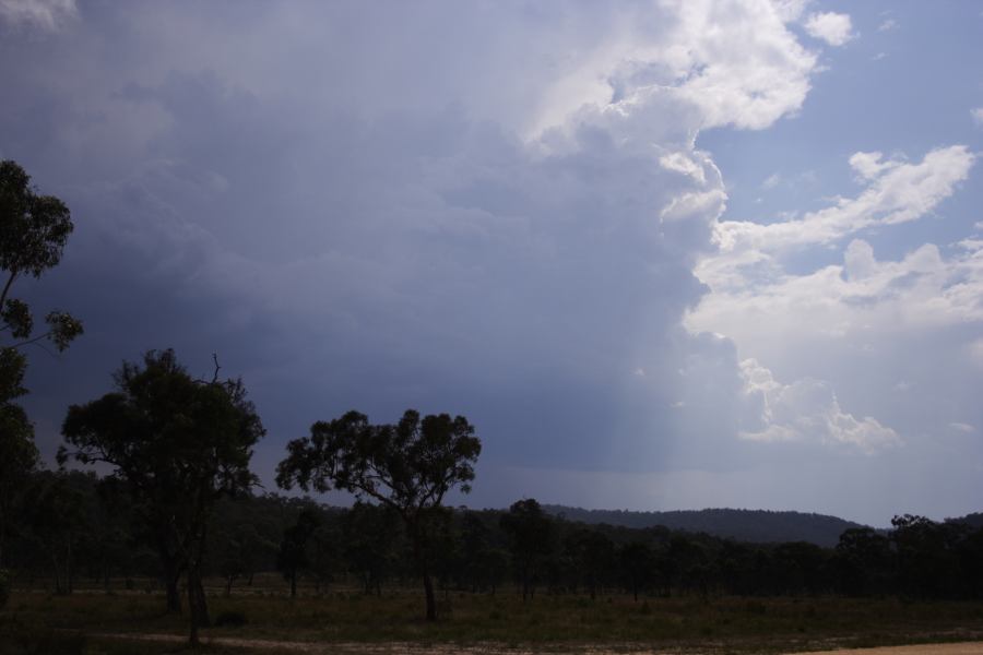 thunderstorm cumulonimbus_incus : ~20km N of Colo Heights, NSW   23 January 2007