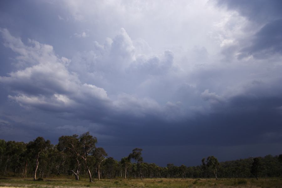 updraft thunderstorm_updrafts : ~20km N of Colo Heights, NSW   23 January 2007