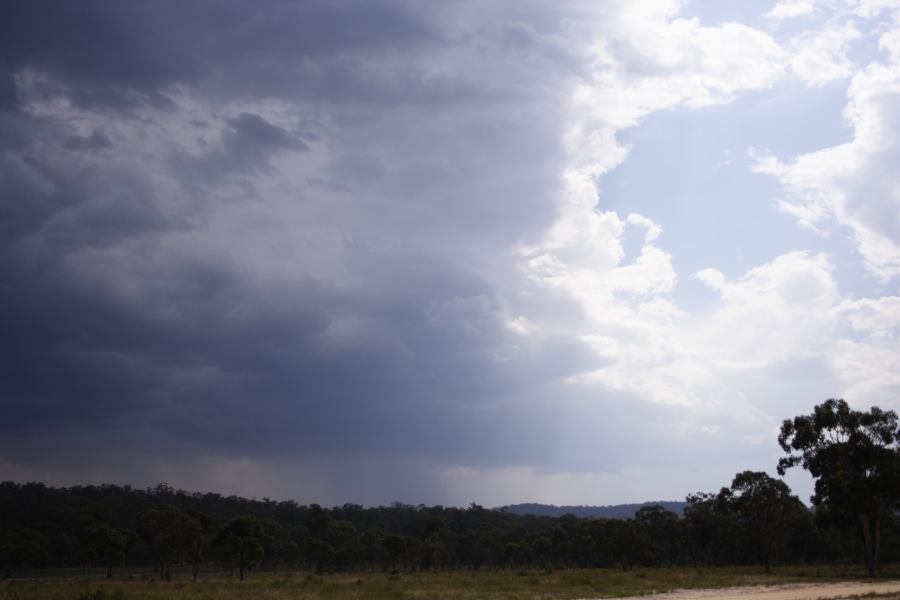 cumulonimbus thunderstorm_base : ~20km N of Colo Heights, NSW   23 January 2007