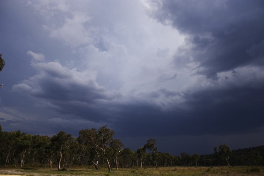 cumulonimbus thunderstorm_base : ~20km N of Colo Heights, NSW   23 January 2007