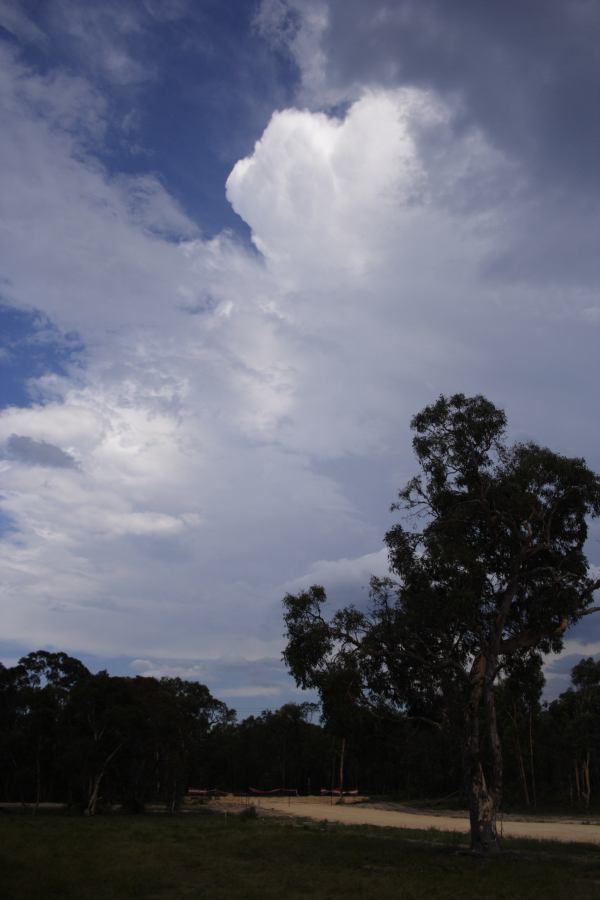 anvil thunderstorm_anvils : ~20km N of Colo Heights, NSW   23 January 2007