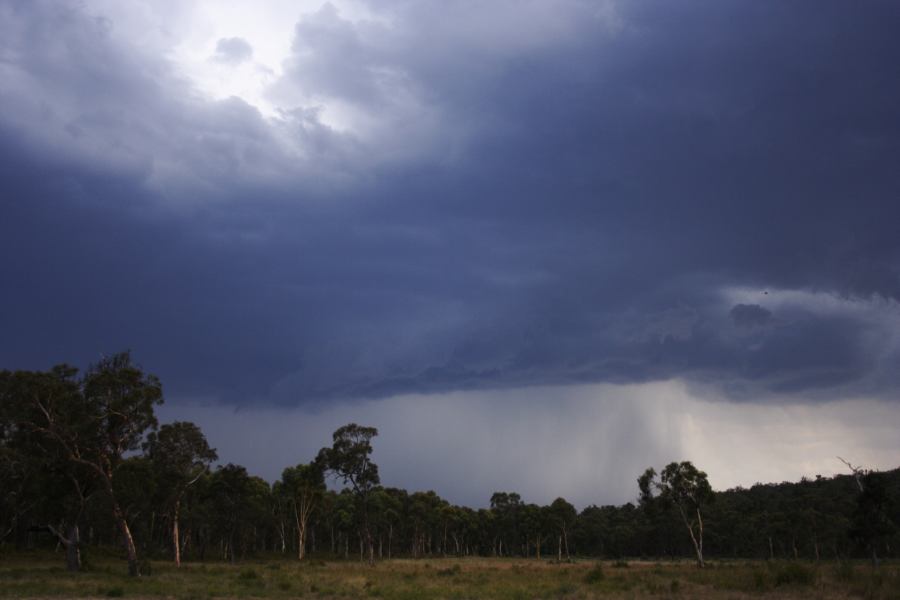 shelfcloud shelf_cloud : ~20km N of Colo Heights, NSW   23 January 2007