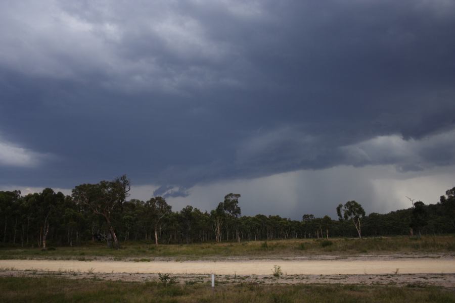 cumulonimbus thunderstorm_base : ~20km N of Colo Heights, NSW   23 January 2007