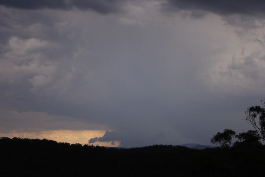 cumulonimbus thunderstorm_base : near Putty, NSW   23 January 2007