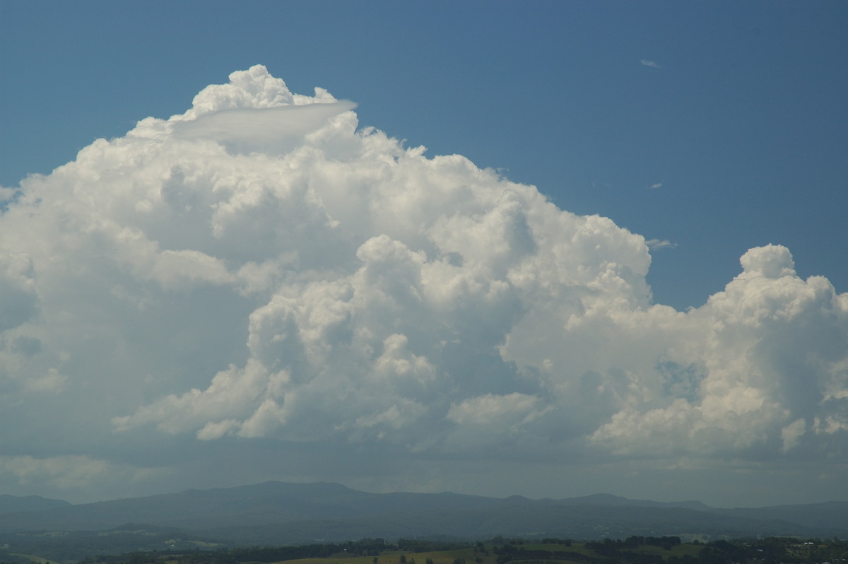 thunderstorm cumulonimbus_calvus : McLeans Ridges, NSW   24 January 2007