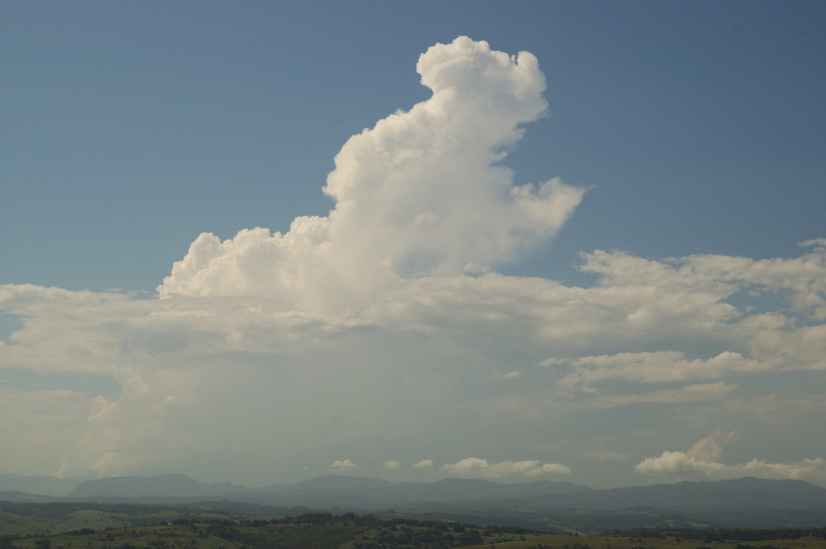 cumulus congestus : McLeans Ridges, NSW   24 January 2007