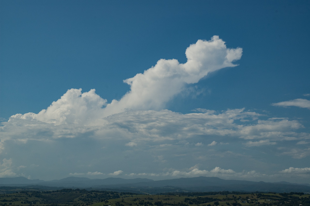 anvil thunderstorm_anvils : McLeans Ridges, NSW   24 January 2007