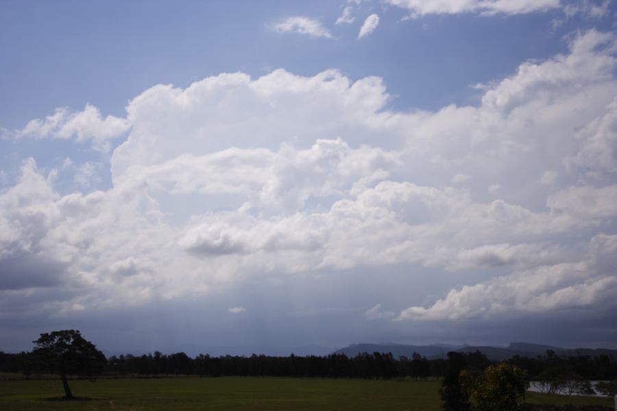 thunderstorm cumulonimbus_incus : near Taree, NSW   26 January 2007