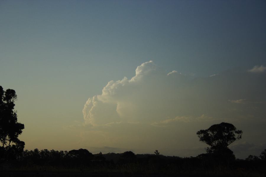 thunderstorm cumulonimbus_incus : near Taree, NSW   26 January 2007