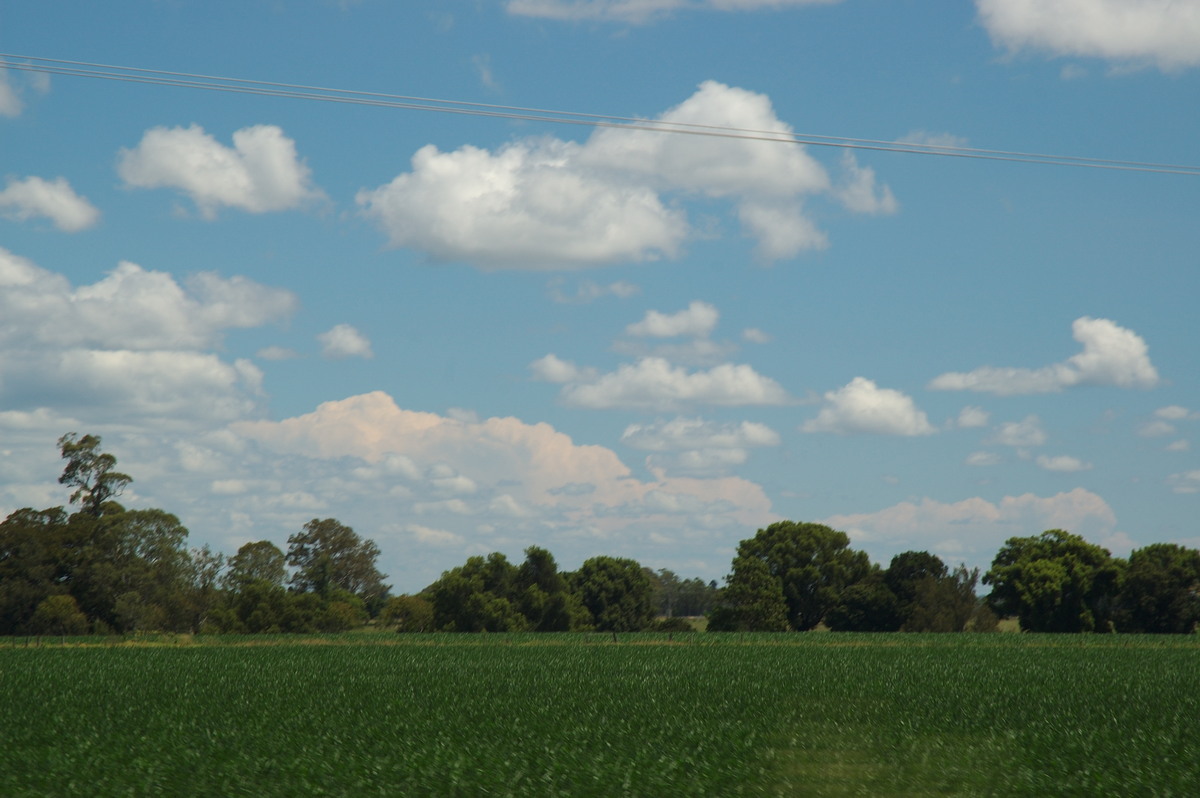 cumulus humilis : S of Casino, NSW   26 January 2007