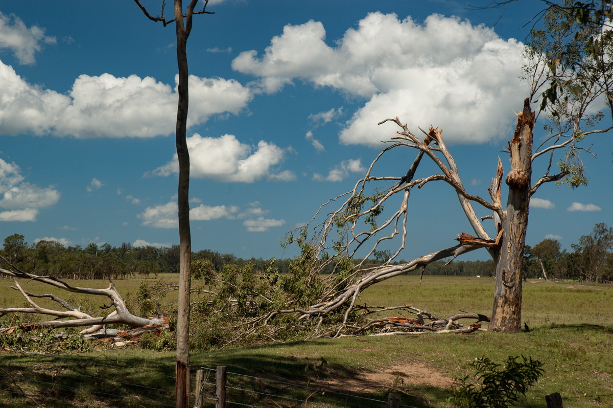 cumulus humilis : Myrtle Creek, NSW   26 January 2007