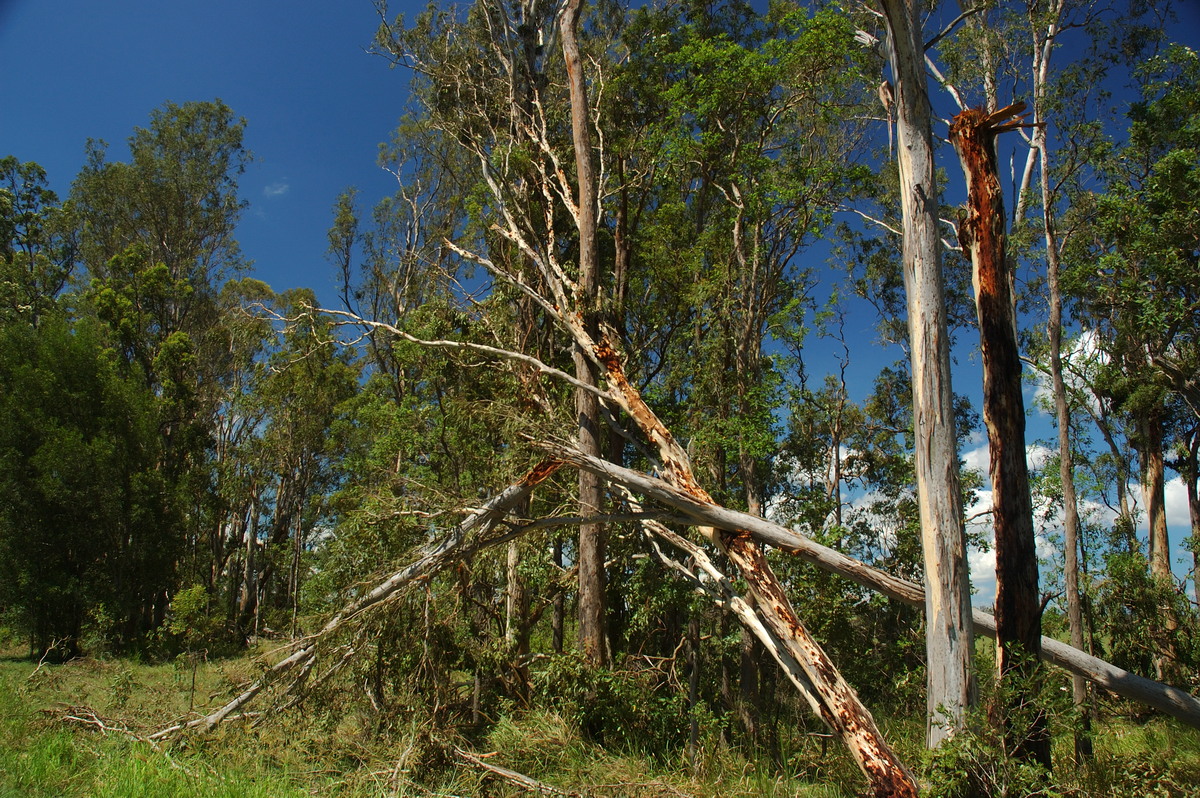 disasters storm_damage : Myrtle Creek, NSW   26 January 2007