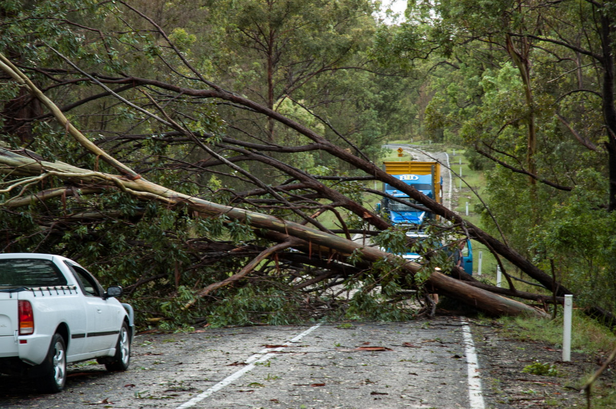 disasters storm_damage : Jackadgery, NSW   26 January 2007