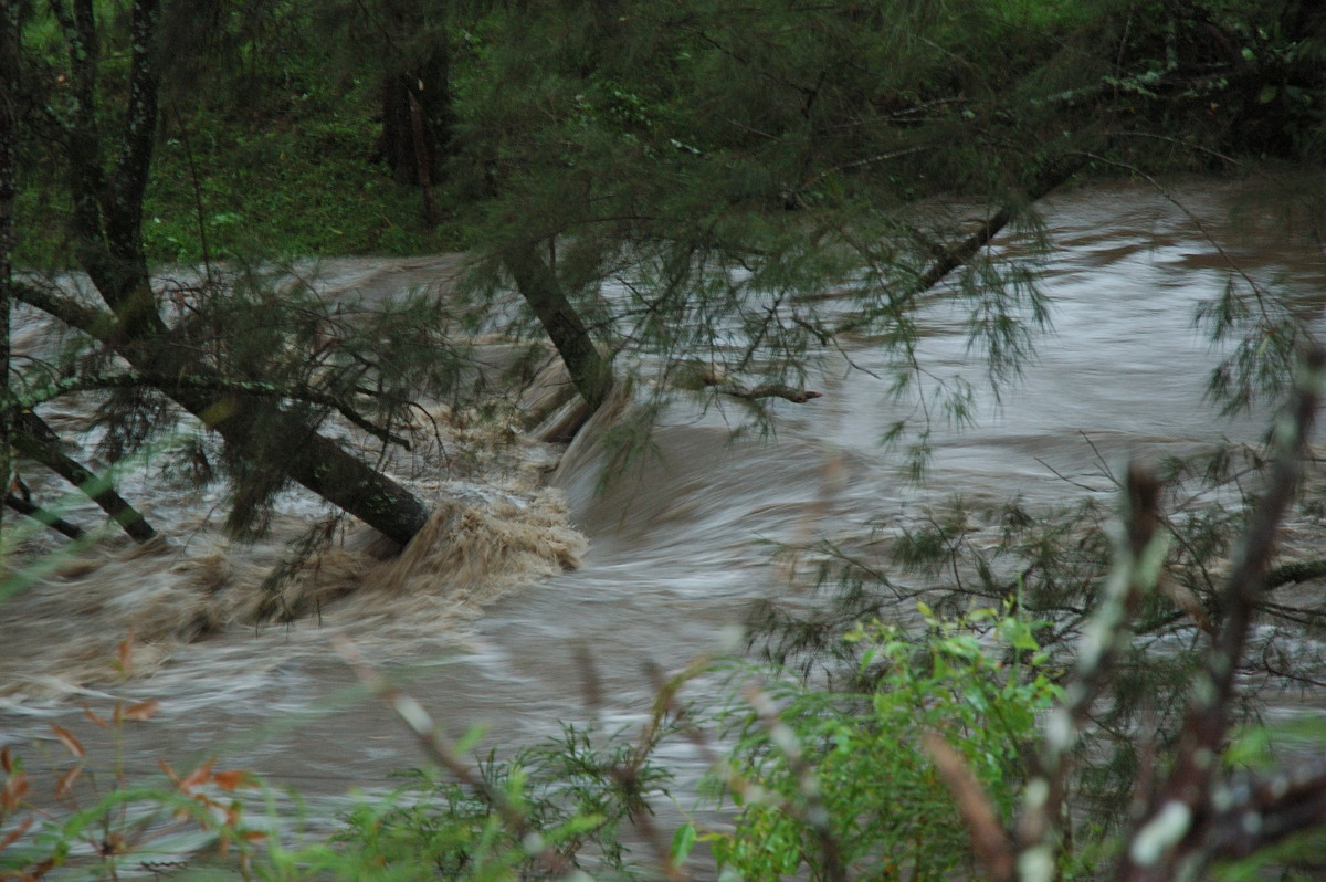 flashflooding flood_pictures : Jackadgery, NSW   26 January 2007