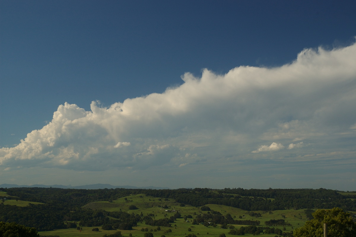 anvil thunderstorm_anvils : Alstonville, NSW   27 January 2007