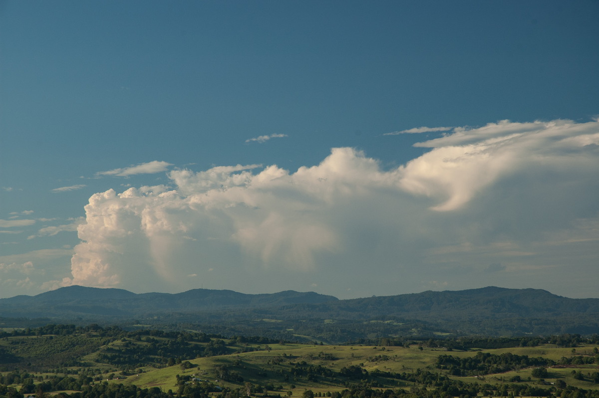 thunderstorm cumulonimbus_incus : McLeans Ridges, NSW   27 January 2007