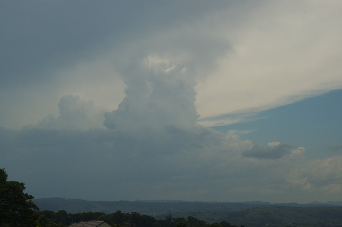 updraft thunderstorm_updrafts : McLeans Ridges, NSW   30 January 2007