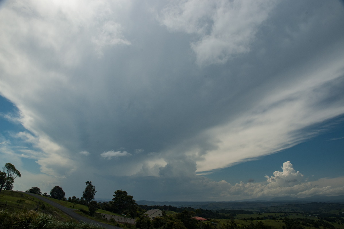 anvil thunderstorm_anvils : McLeans Ridges, NSW   30 January 2007