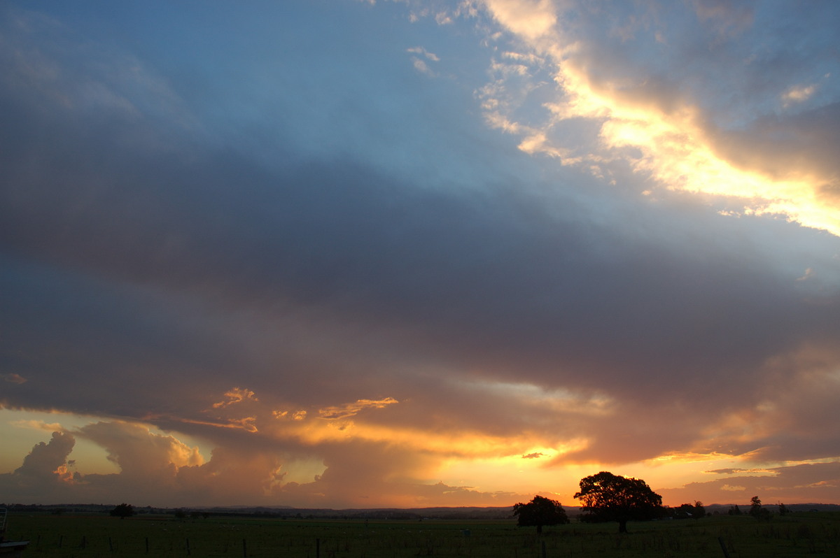 sunset sunset_pictures : N of Casino, NSW   30 January 2007