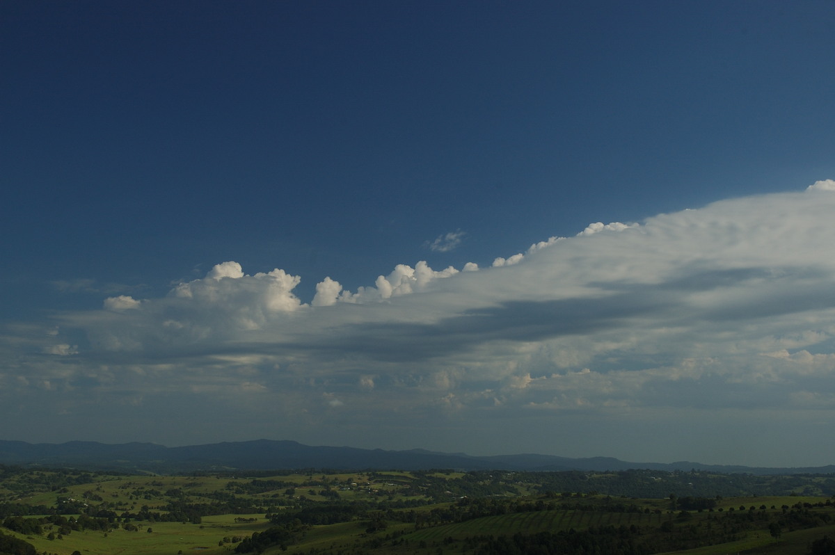 altocumulus castellanus : McLeans Ridges, NSW   31 January 2007