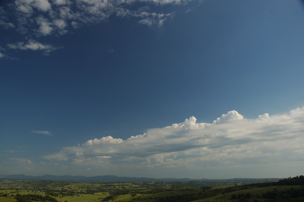 altocumulus castellanus : McLeans Ridges, NSW   31 January 2007