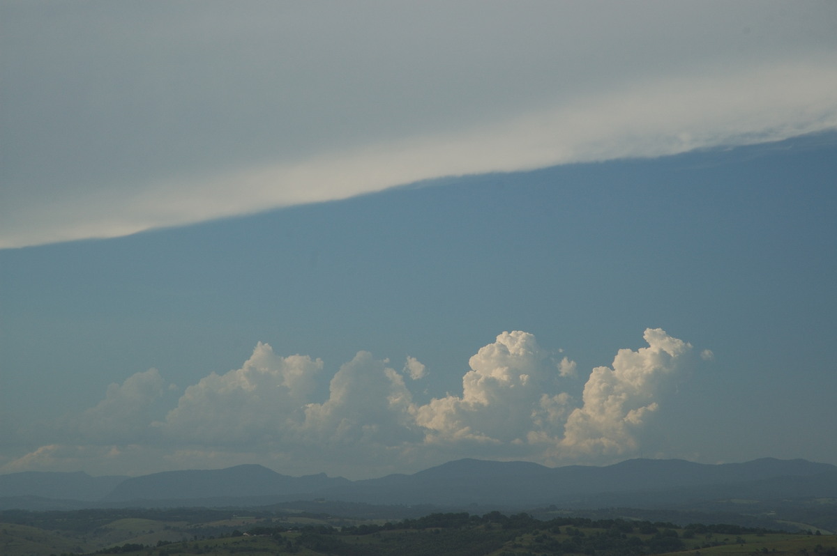 cumulus congestus : McLeans Ridges, NSW   31 January 2007