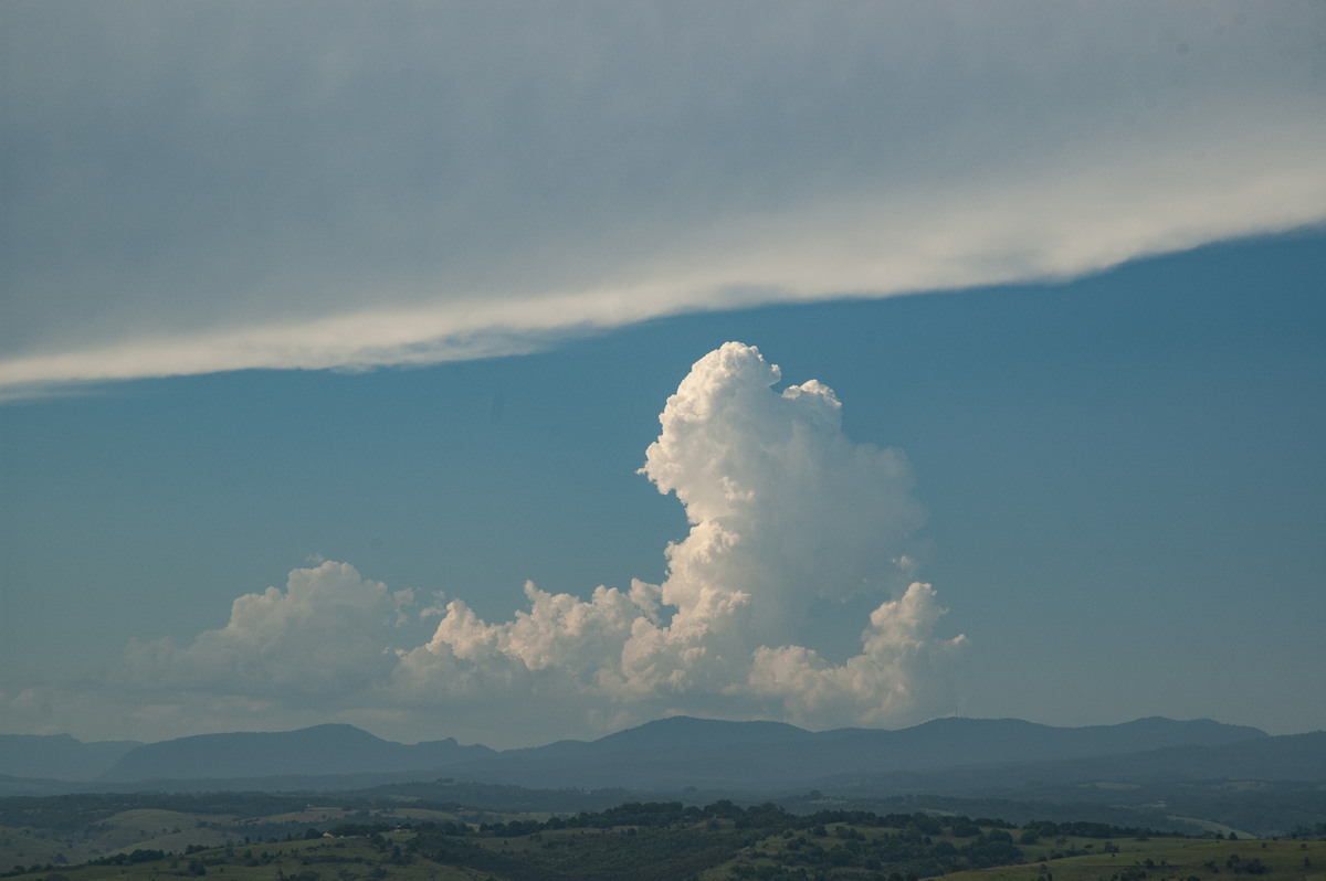 cumulus congestus : McLeans Ridges, NSW   31 January 2007