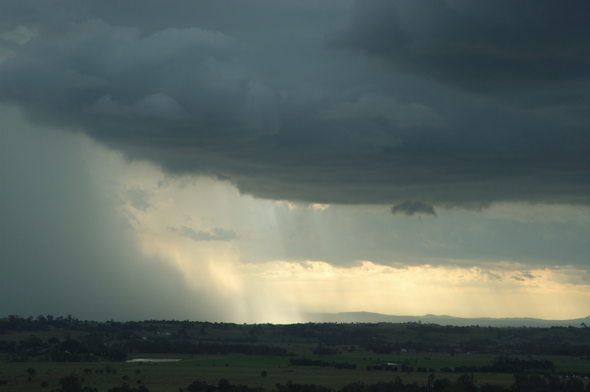 microburst micro_burst : Wyrallah, NSW   31 January 2007