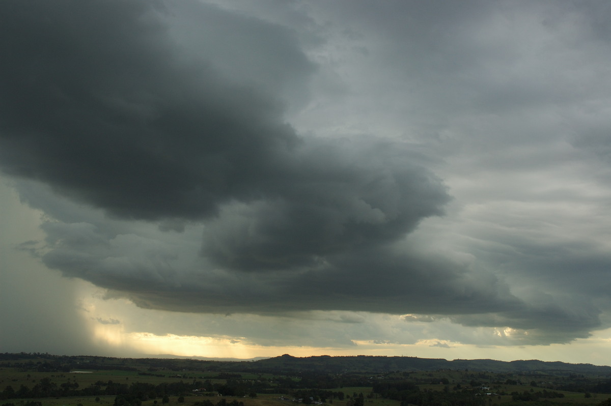 microburst micro_burst : Wyrallah, NSW   31 January 2007