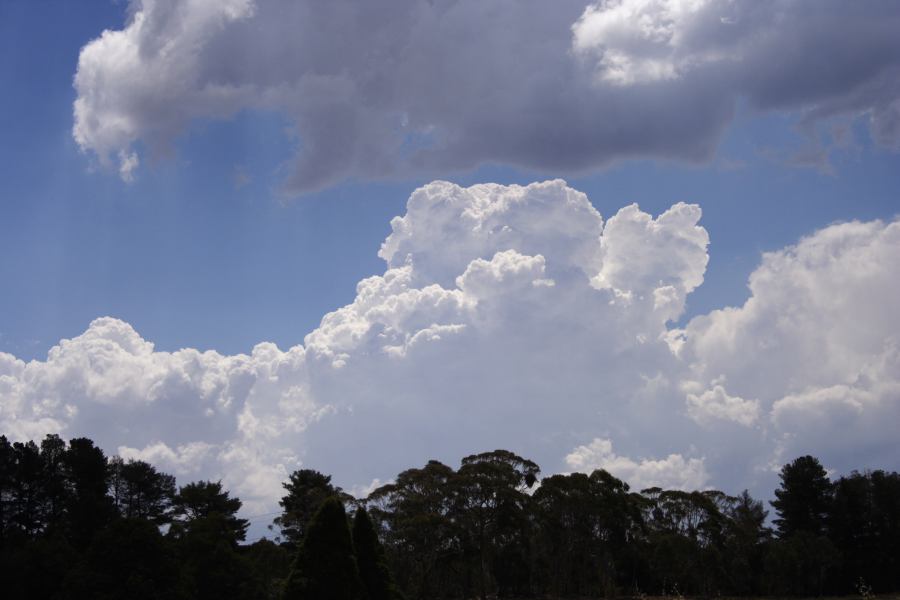 thunderstorm cumulonimbus_calvus : near Sunny Corner, NSW   3 February 2007