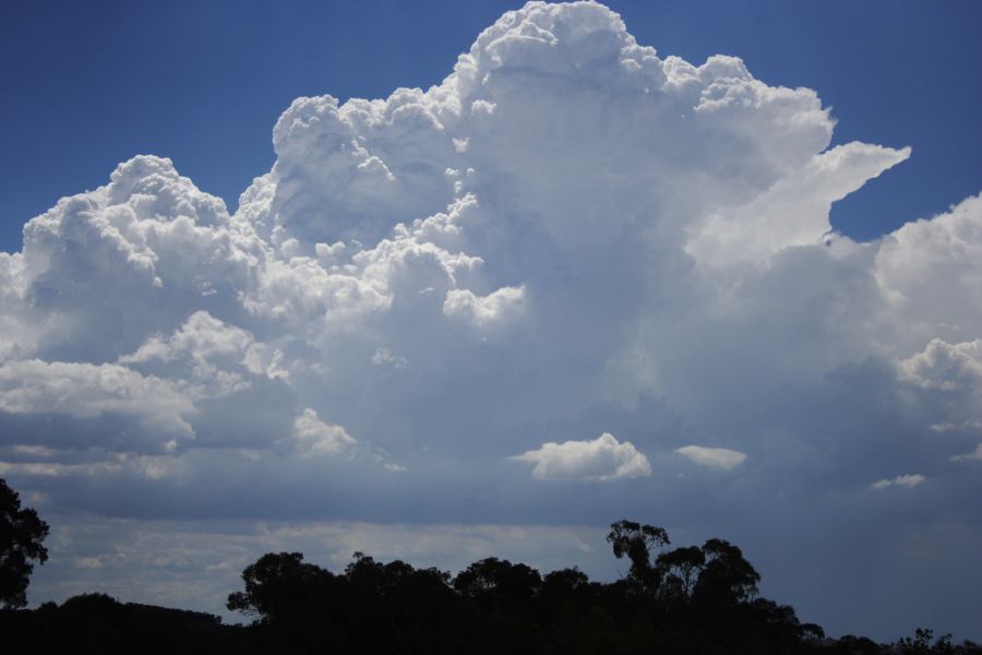 thunderstorm cumulonimbus_calvus : near Sunny Corner, NSW   3 February 2007