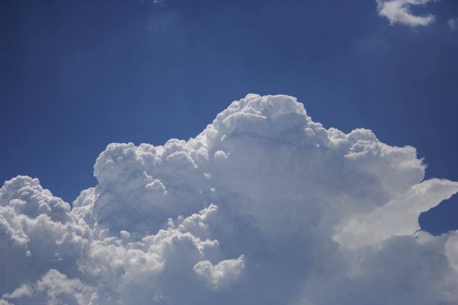 updraft thunderstorm_updrafts : near Sunny Corner, NSW   3 February 2007