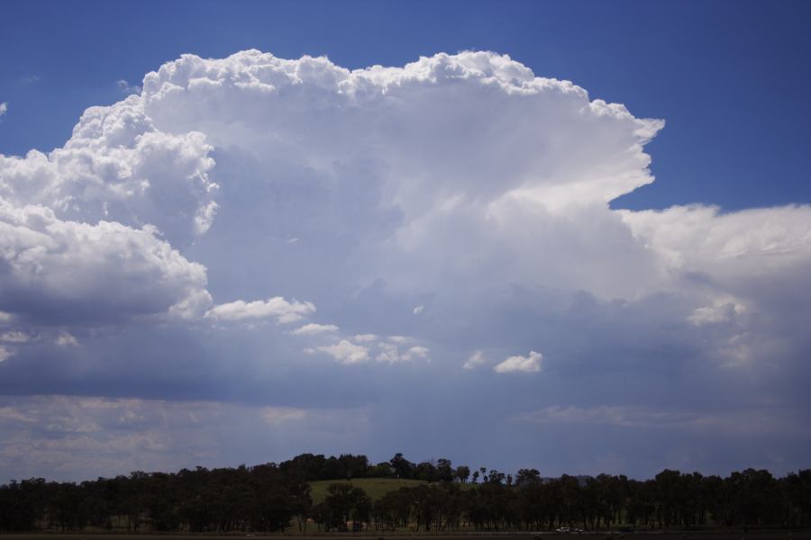 thunderstorm cumulonimbus_incus : E of Bathurst, NSW   3 February 2007