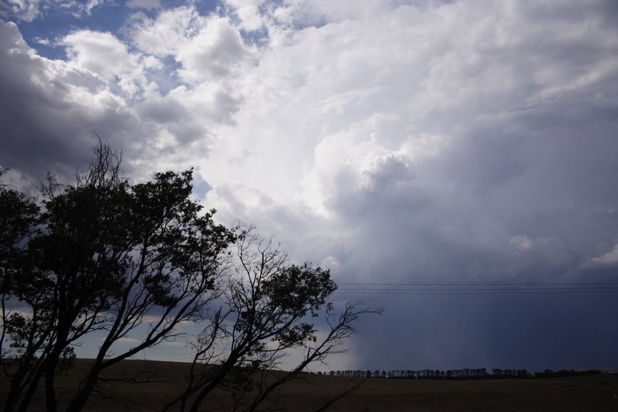 raincascade precipitation_cascade : E of Bathurst, NSW   3 February 2007