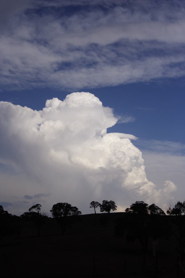 altocumulus altocumulus_cloud : near Ilford, NSW   3 February 2007