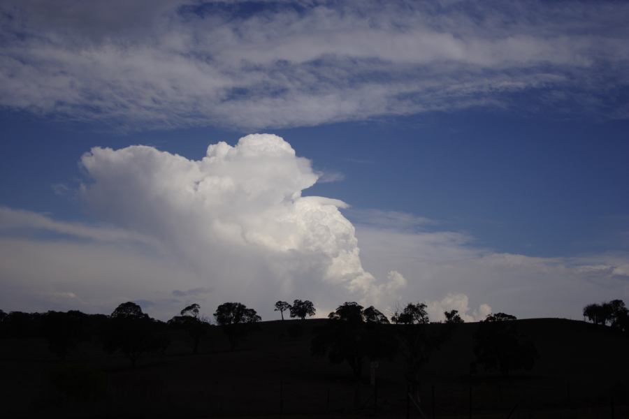 thunderstorm cumulonimbus_calvus : near Ilford, NSW   3 February 2007