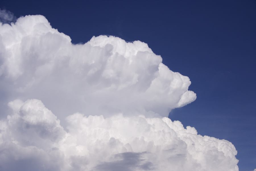 updraft thunderstorm_updrafts : S of Cherry Tree Hill, NSW   3 February 2007