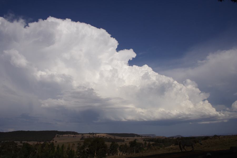 thunderstorm cumulonimbus_incus : S of Cherry Tree Hill, NSW   3 February 2007