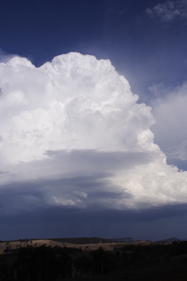 updraft thunderstorm_updrafts : S of Cherry Tree Hill, NSW   3 February 2007