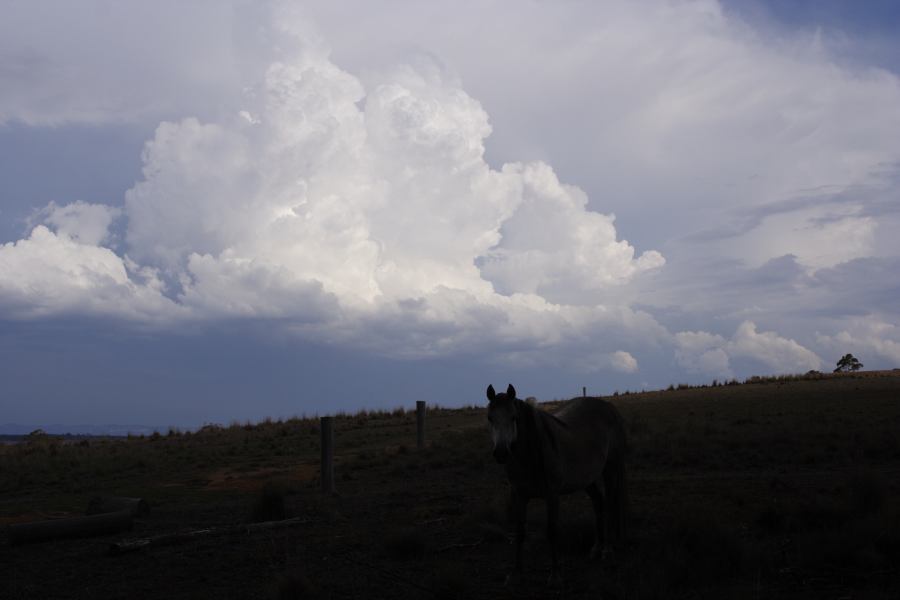 updraft thunderstorm_updrafts : S of Cherry Tree Hill, NSW   3 February 2007